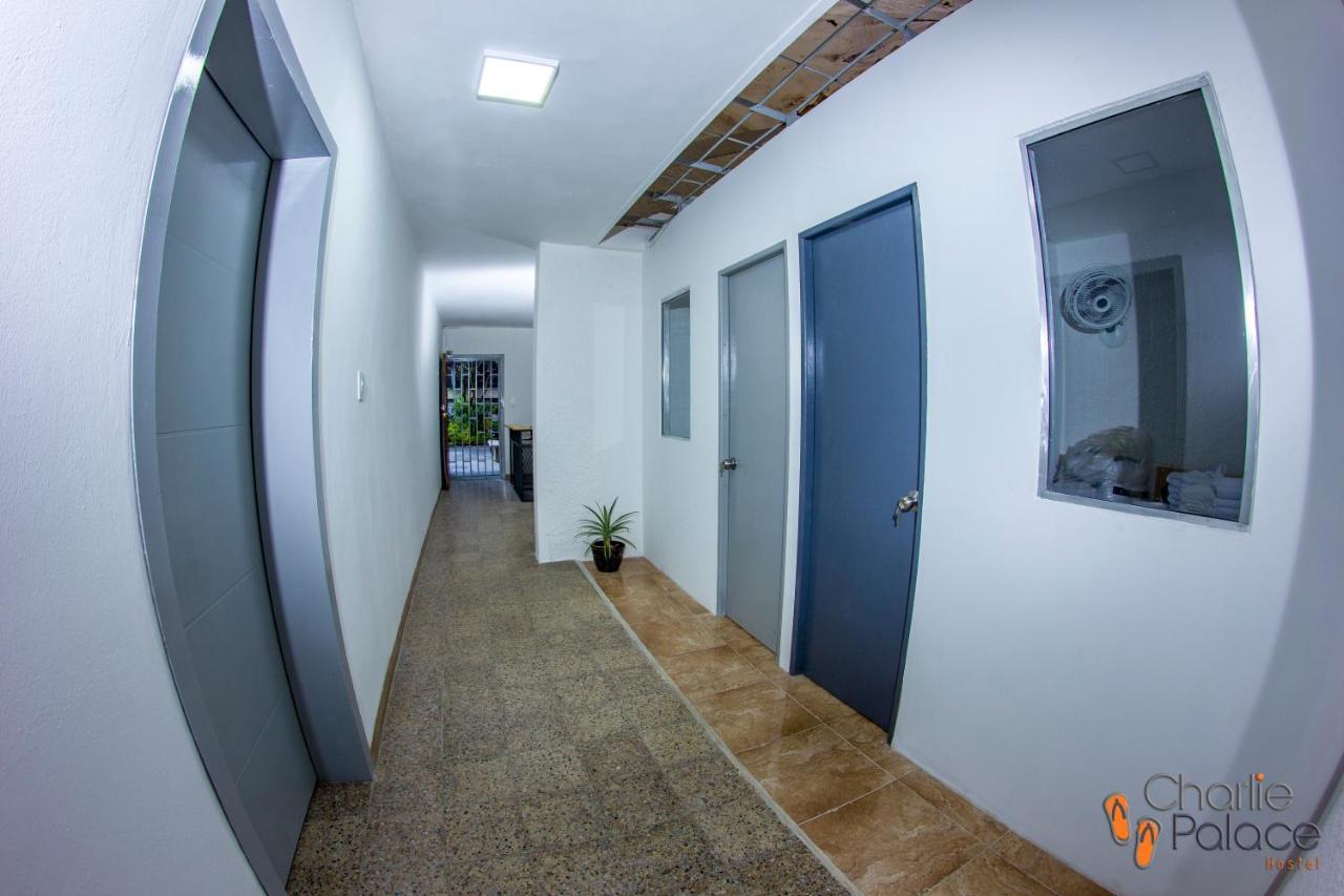Charlie Palace Hostel Medellín Exteriér fotografie
