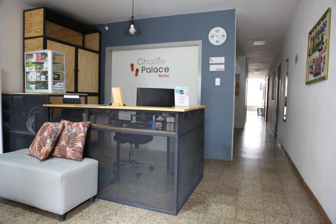Charlie Palace Hostel Medellín Exteriér fotografie